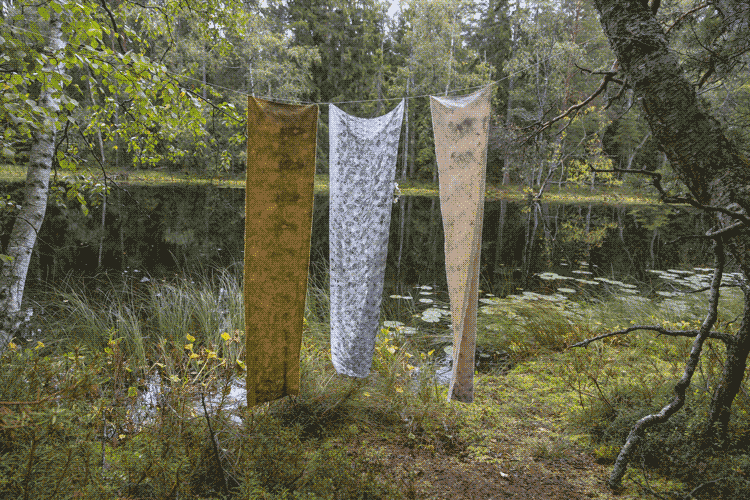 Three strips of hand-dyed textiles hang in a forest near a body of water.