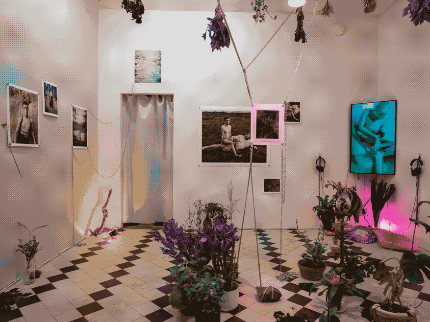An (almost) white cube exhibition space with black and white checkered floor is filled with
                dried and living plants. One the wall hang photos of bodies and nature and at the corner of the room
                there is a television playing a video.