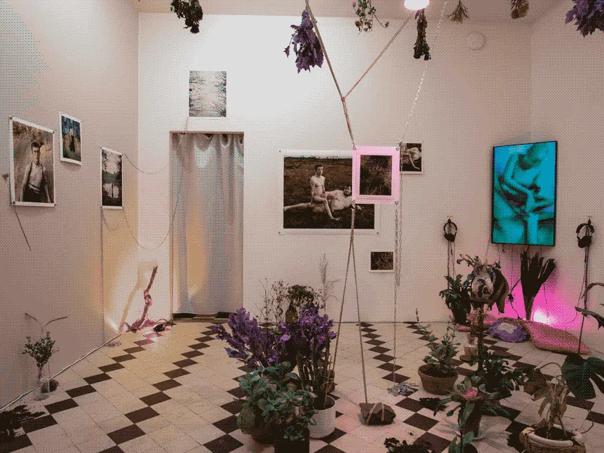 An (almost) white cube exhibition space with black and white checkered floor is filled with
                    dried and living plants. One the wall hang photos of bodies and nature and at the corner of the room
                    there is a television playing a video.